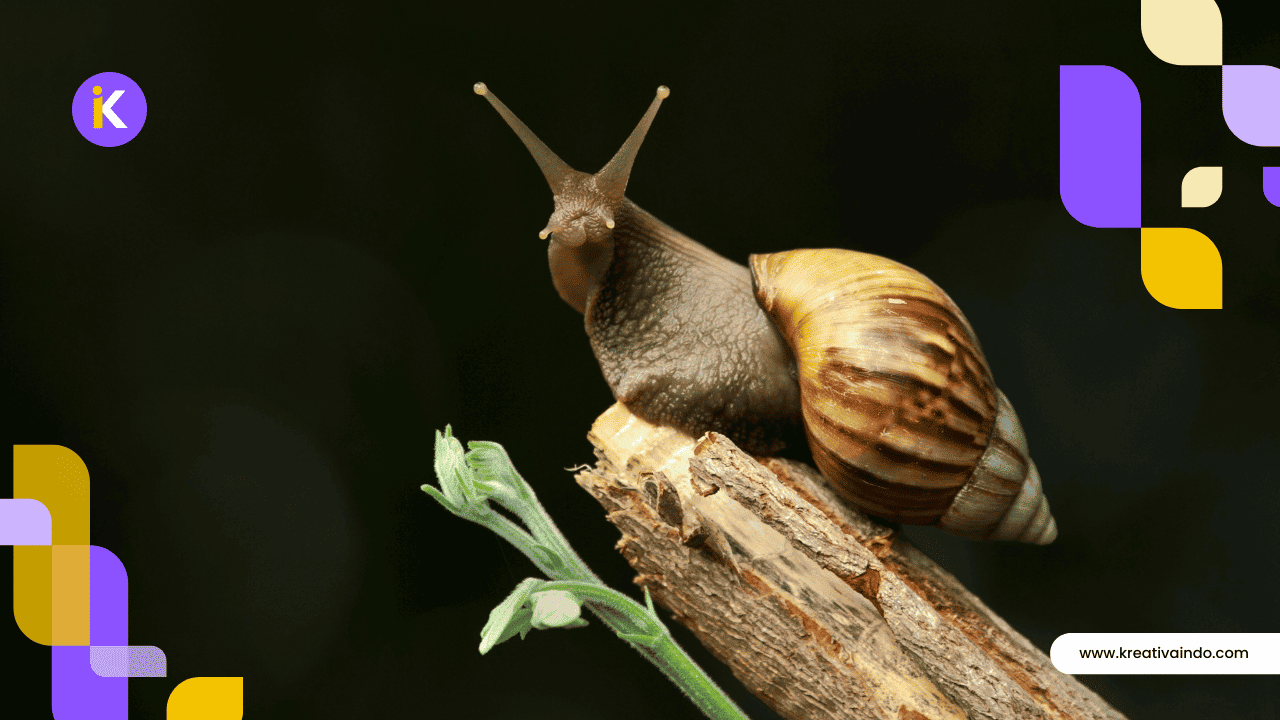 Dampak website lambat terhadap bisnis di tahun 2026